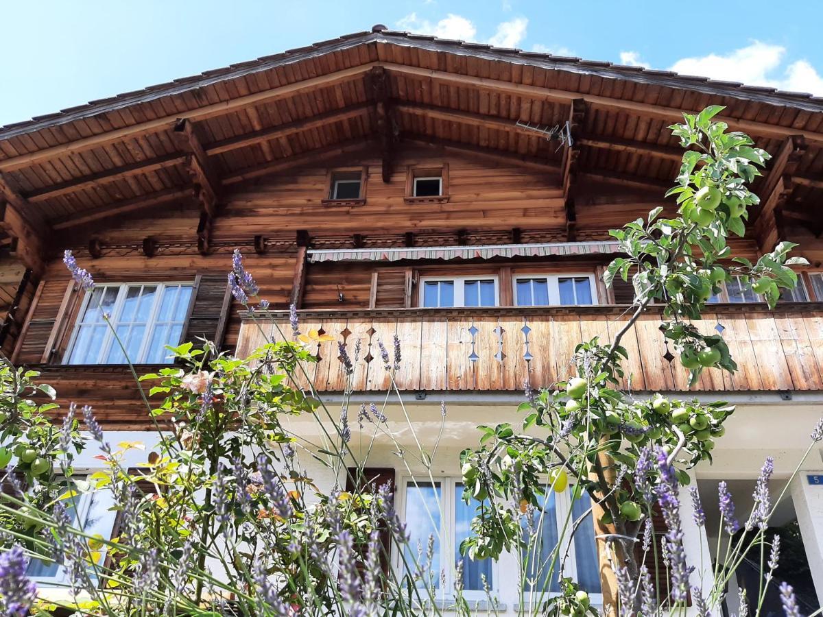 Cozy Chalet By Interlaken. Parking ริงเกนแบร์ก ภายนอก รูปภาพ